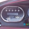 KA325 – Range Rover – Pink – Radio